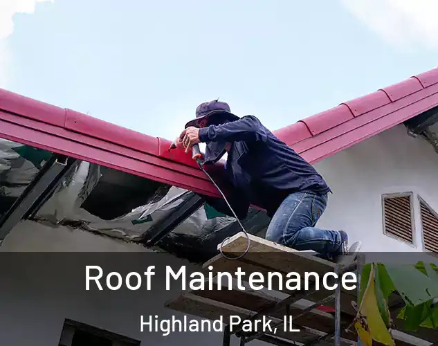  Roof Maintenance Highland Park, IL